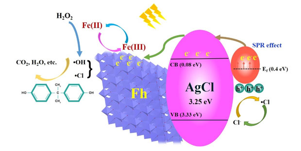 Ag/AgCl/Fh体系中可能的光芬顿催化机理图